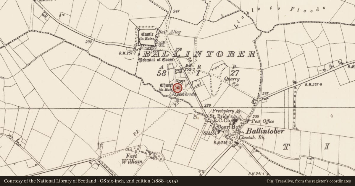 Ordnance Survey six-inch map, 2nd edition (1888–1915) covering the location of Graveslab, Ballintober, County Roscommon, with a pin at the register's coordinates