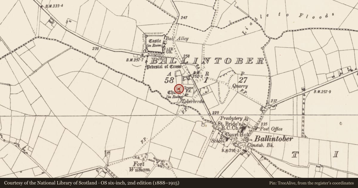 Ordnance Survey six-inch map, 2nd edition (1888–1915) covering the location of Ritual site - holy tree/bush, Ballintober, County Roscommon, with a pin at the register's coordinates