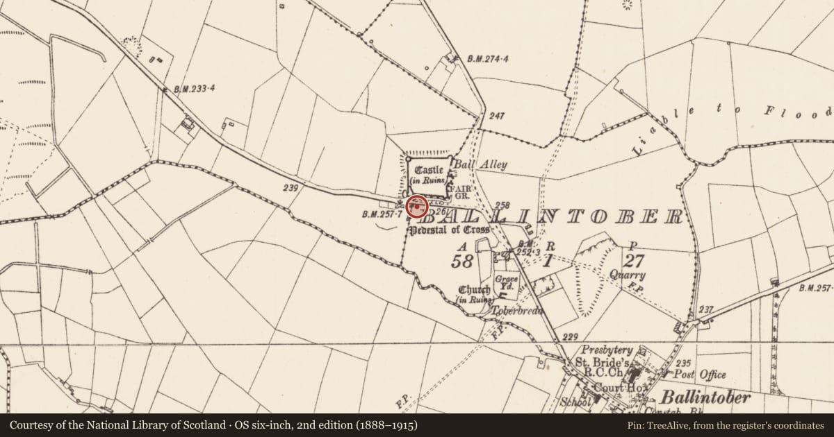 Ordnance Survey six-inch map, 2nd edition (1888–1915) covering the location of Excavation - miscellaneous, Ballintober, County Roscommon, with a pin at the register's coordinates