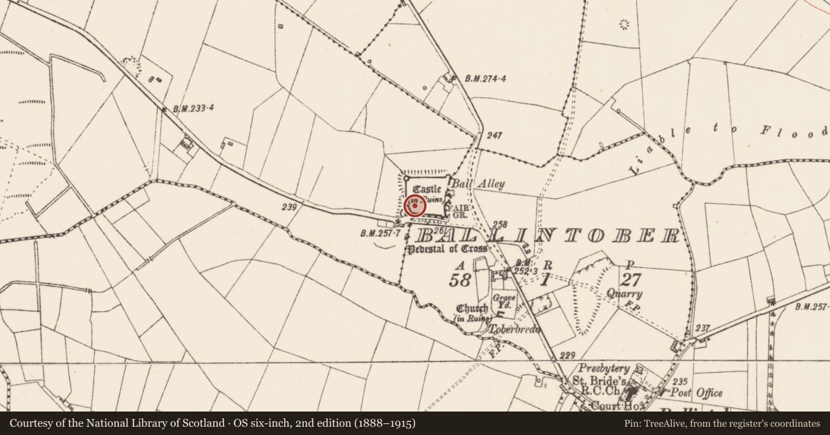 Ordnance Survey six-inch map, 2nd edition (1888–1915) covering the location of Building, Rosmeen, County Roscommon, with a pin at the register's coordinates