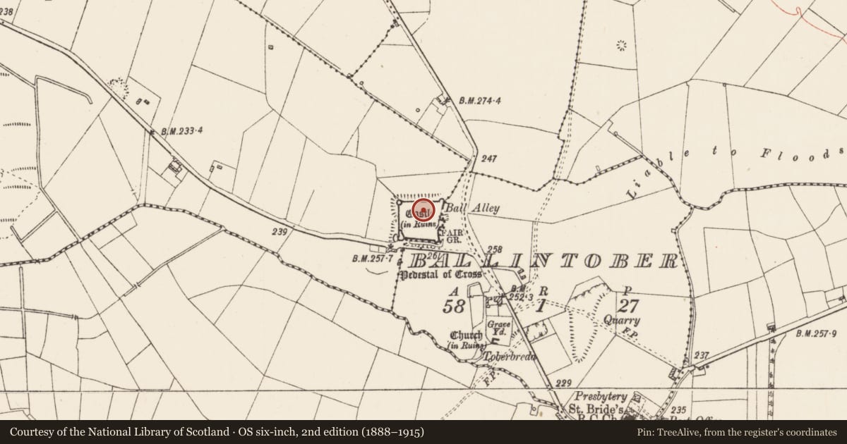 Ordnance Survey six-inch map, 2nd edition (1888–1915) covering the location of Chapel, Rosmeen, County Roscommon, with a pin at the register's coordinates