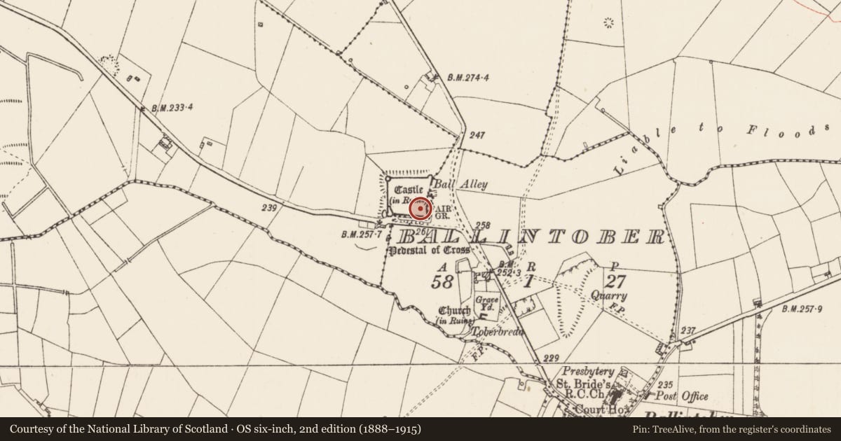 Ordnance Survey six-inch map, 2nd edition (1888–1915) covering the location of Enclosure, Ballintober, Rosmeen, County Roscommon, with a pin at the register's coordinates