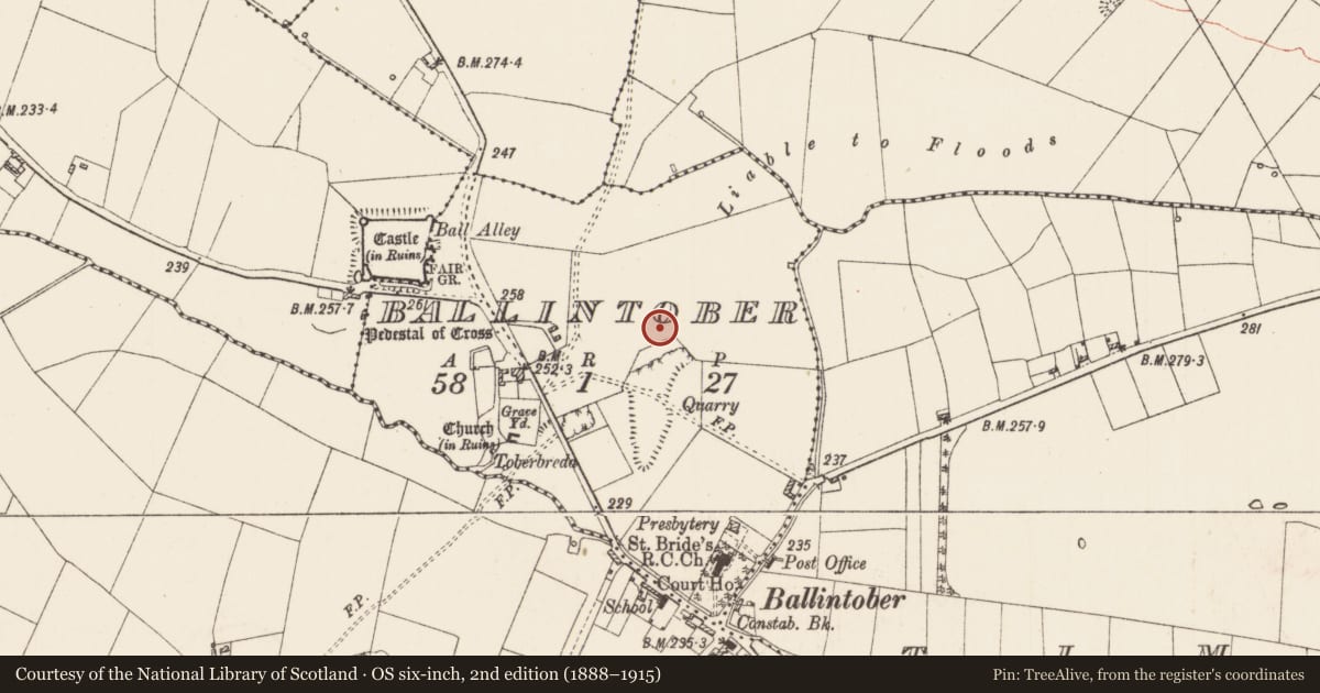 Ordnance Survey six-inch map, 2nd edition (1888–1915) covering the location of Road - road/trackway, Ballintober, County Roscommon, with a pin at the register's coordinates