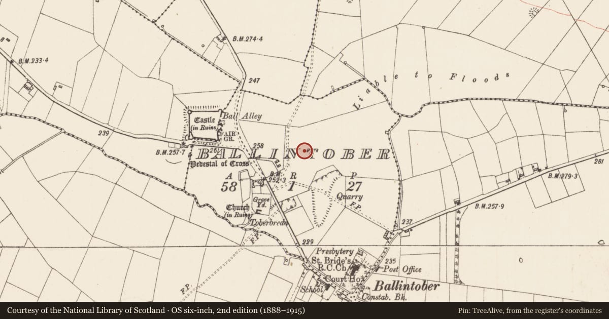 Ordnance Survey six-inch map, 2nd edition (1888–1915) covering the location of Settlement deserted - medieval, Ballintober, County Roscommon, with a pin at the register's coordinates