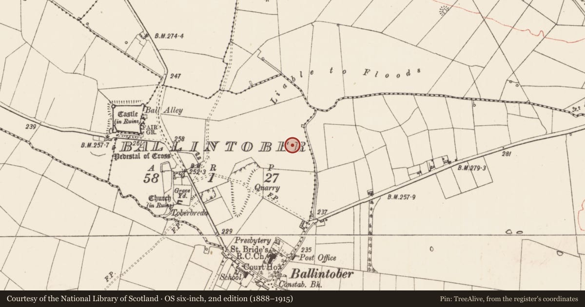 Ordnance Survey six-inch map, 2nd edition (1888–1915) covering the location of Crannog, Ballintober, County Roscommon, with a pin at the register's coordinates