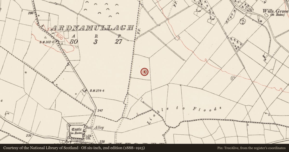 Ordnance Survey six-inch map, 2nd edition (1888–1915) covering the location of Barrow - ditch barrow, Willsgrove, County Roscommon, with a pin at the register's coordinates