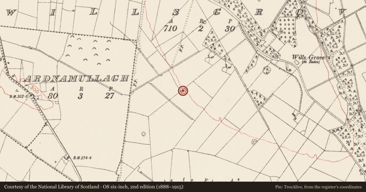 Ordnance Survey six-inch map, 2nd edition (1888–1915) covering the location of Barrow - ditch barrow, Willsgrove, County Roscommon, with a pin at the register's coordinates