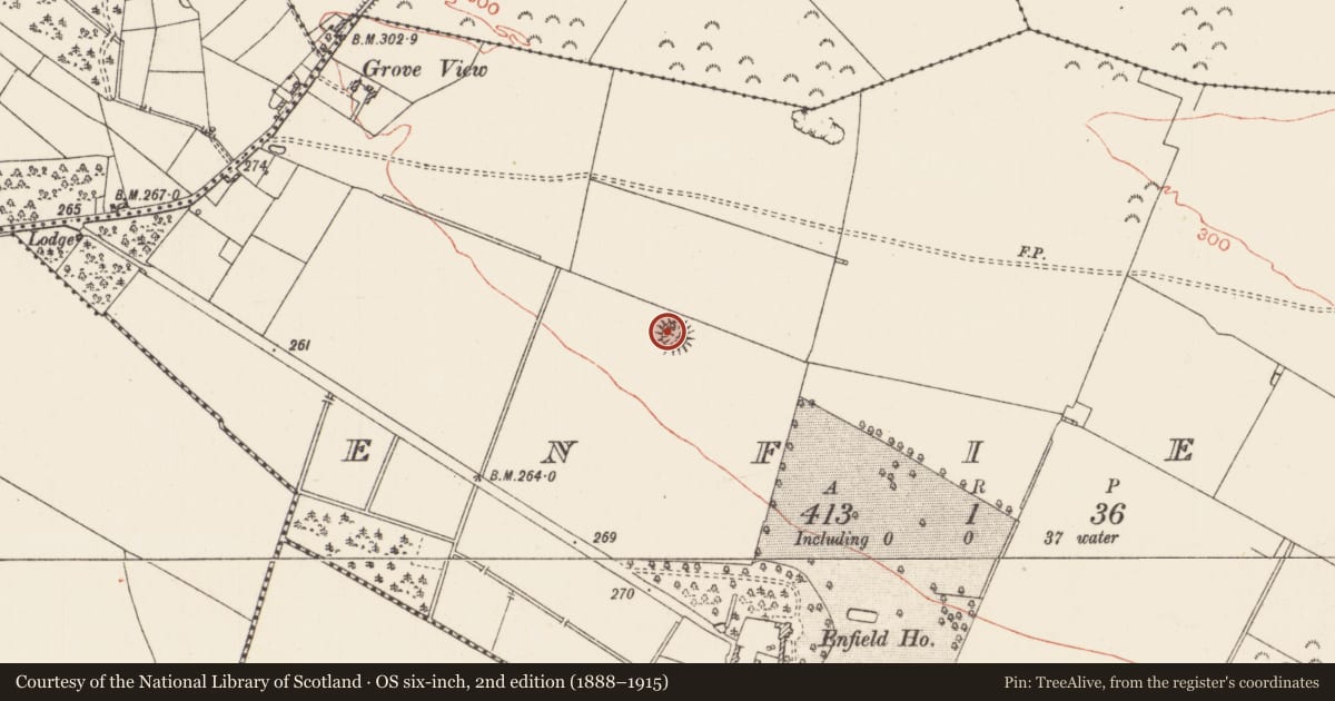 Ordnance Survey six-inch map, 2nd edition (1888–1915) covering the location of Ringfort - rath, Enfield, County Roscommon, with a pin at the register's coordinates