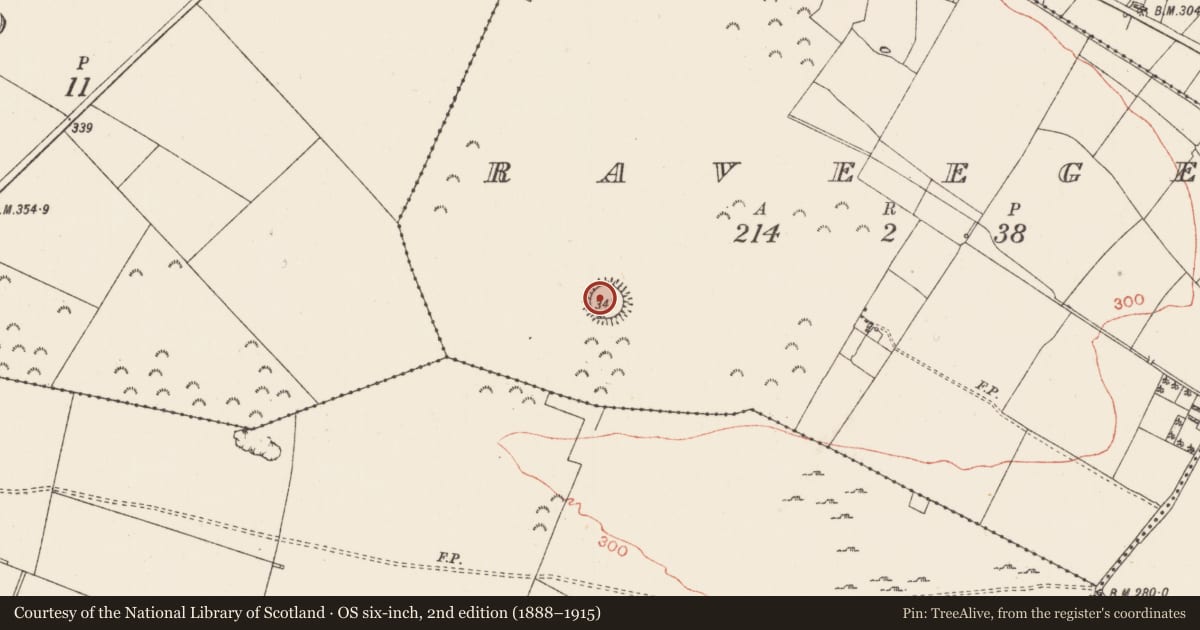 Ordnance Survey six-inch map, 2nd edition (1888–1915) covering the location of Ringfort - rath, Raveege, County Roscommon, with a pin at the register's coordinates