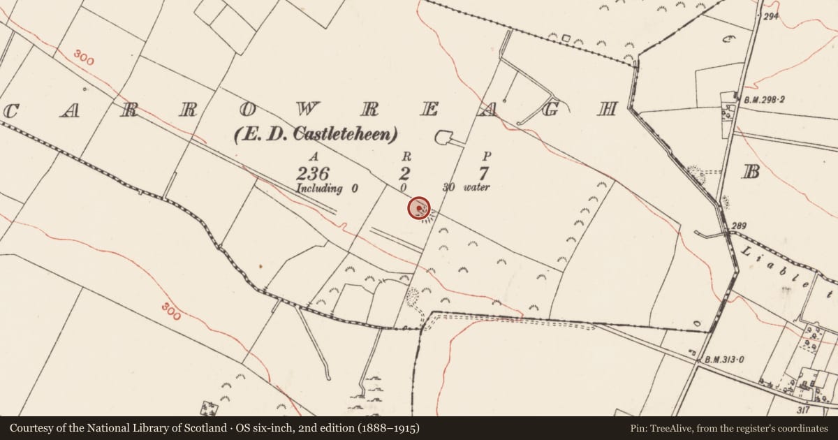 Ordnance Survey six-inch map, 2nd edition (1888–1915) covering the location of Barrow - ring-barrow, Carrowreagh, County Roscommon, with a pin at the register's coordinates
