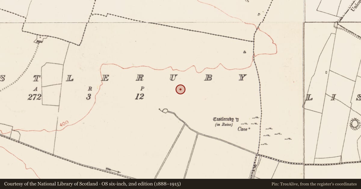 Ordnance Survey six-inch map, 2nd edition (1888–1915) covering the location of Enclosure, Castleruby, County Roscommon, with a pin at the register's coordinates