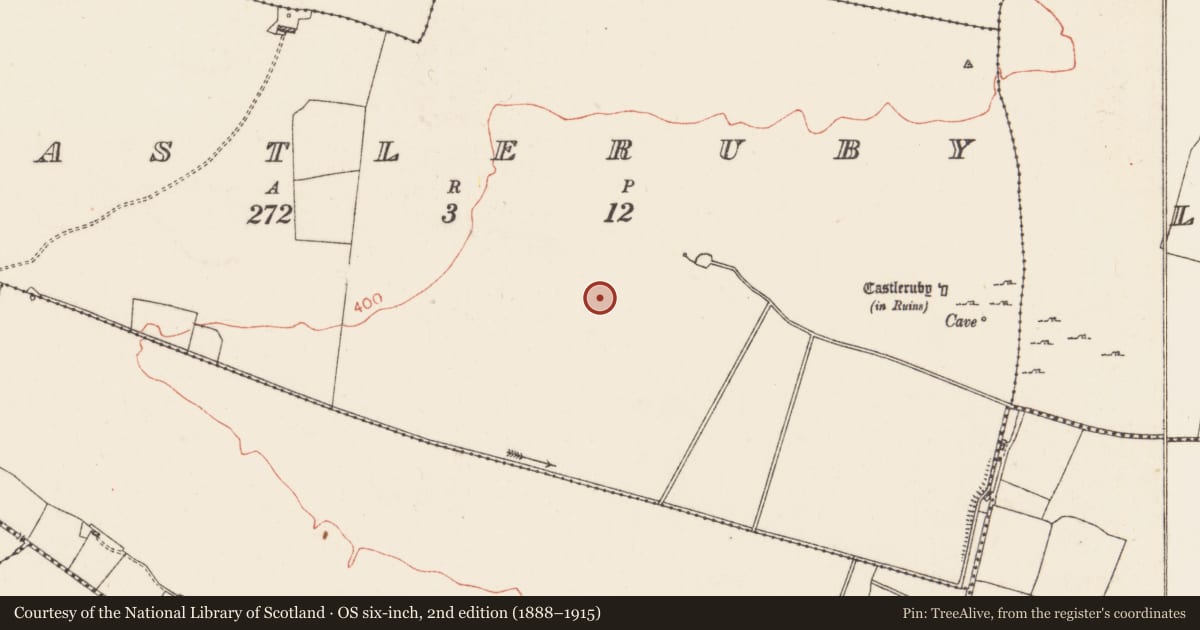 Ordnance Survey six-inch map, 2nd edition (1888–1915) covering the location of Enclosure, Castleruby, County Roscommon, with a pin at the register's coordinates