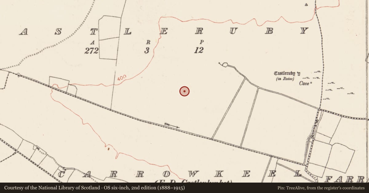 Ordnance Survey six-inch map, 2nd edition (1888–1915) covering the location of Field system, Castleruby, County Roscommon, with a pin at the register's coordinates