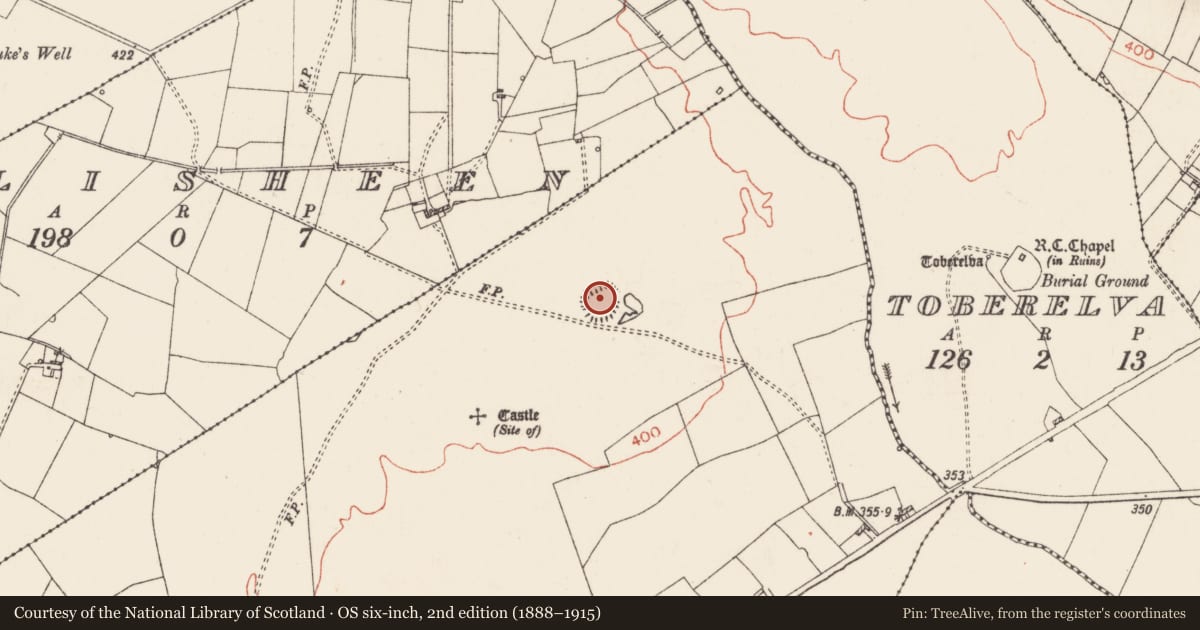 Ordnance Survey six-inch map, 2nd edition (1888–1915) covering the location of Ringfort - rath, Castleplunket, County Roscommon, with a pin at the register's coordinates
