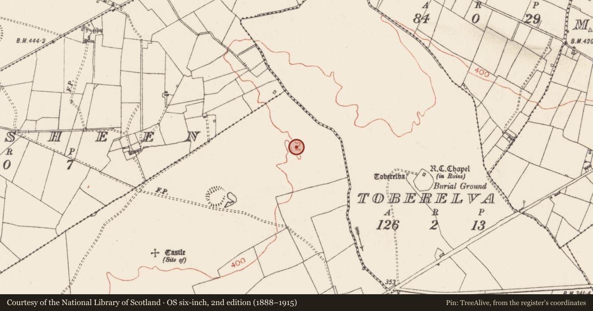 Ordnance Survey six-inch map, 2nd edition (1888–1915) covering the location of Field system, Castleplunket, County Roscommon, with a pin at the register's coordinates