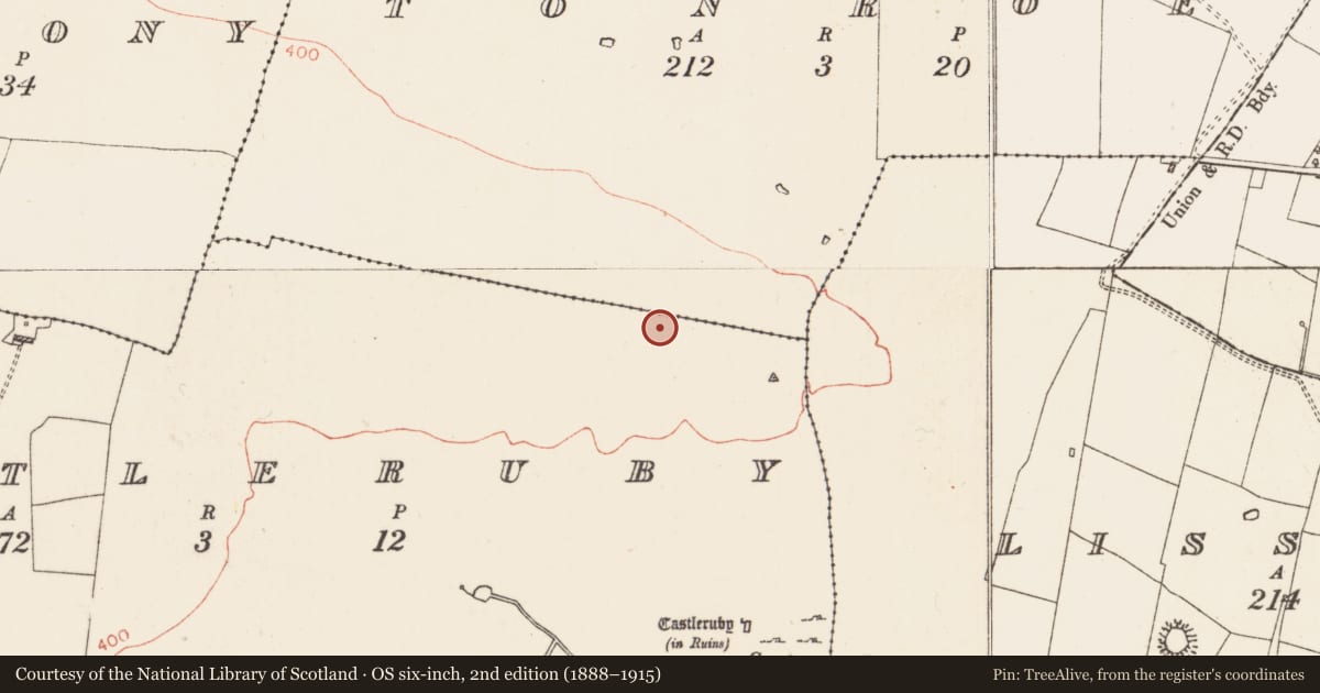Ordnance Survey six-inch map, 2nd edition (1888–1915) covering the location of Road - road/trackway, Castleruby, Lissawaddy, County Roscommon, with a pin at the register's coordinates