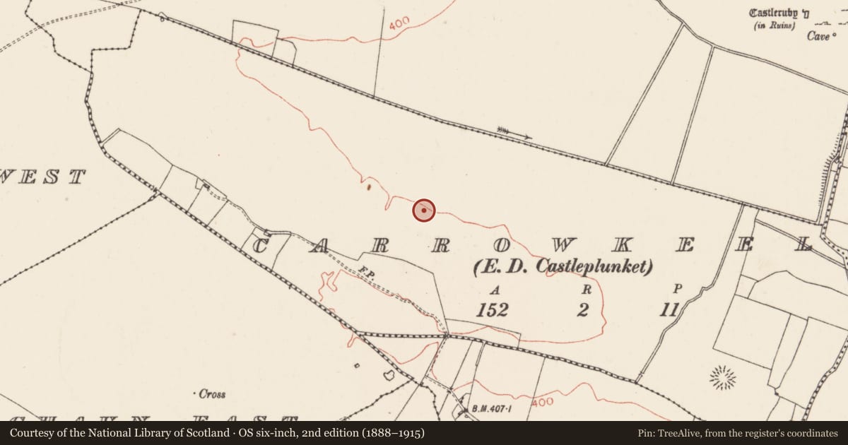 Ordnance Survey six-inch map, 2nd edition (1888–1915) covering the location of Pitfield, Carrowkeel (Castlereagh By., Castleplunket ED, County Roscommon, with a pin at the register's coordinates