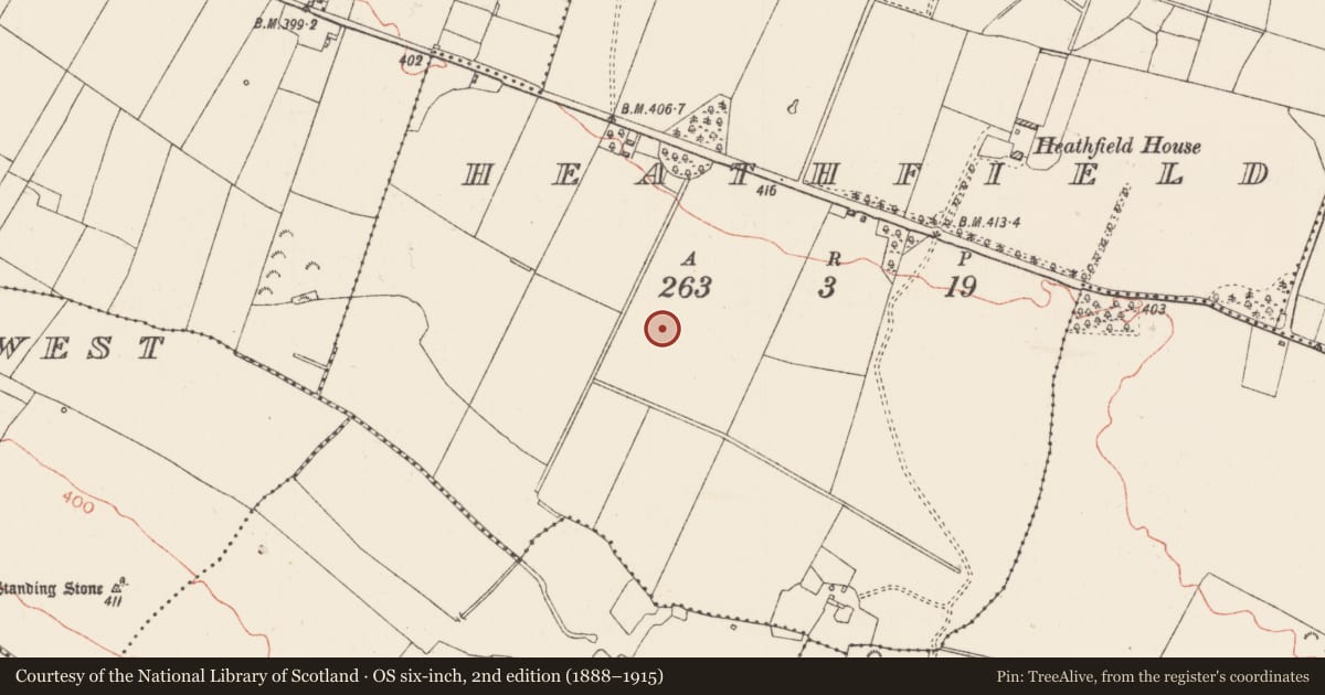 Ordnance Survey six-inch map, 2nd edition (1888–1915) covering the location of Field system, Heathfield, County Roscommon, with a pin at the register's coordinates