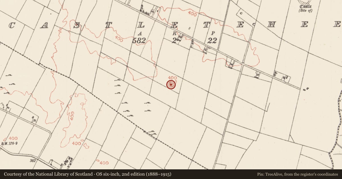 Ordnance Survey six-inch map, 2nd edition (1888–1915) covering the location of Souterrain, Castleteheen, County Roscommon, with a pin at the register's coordinates