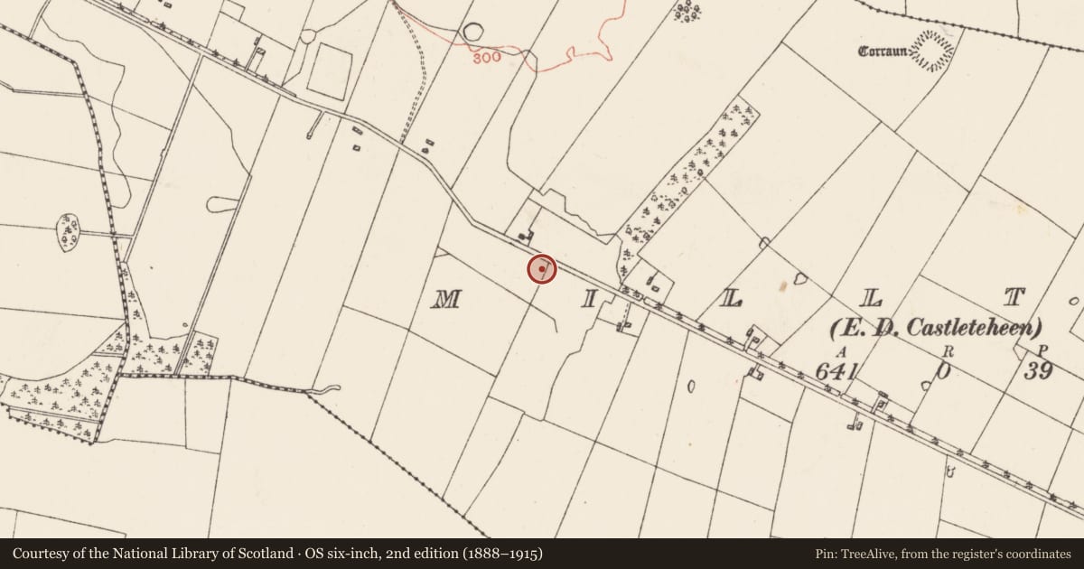 Ordnance Survey six-inch map, 2nd edition (1888–1915) covering the location of Ringfort - rath, Milltown, County Roscommon, with a pin at the register's coordinates