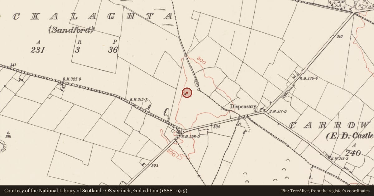Ordnance Survey six-inch map, 2nd edition (1888–1915) covering the location of Enclosure, Knockalaghta (Sandford), County Roscommon, with a pin at the register's coordinates