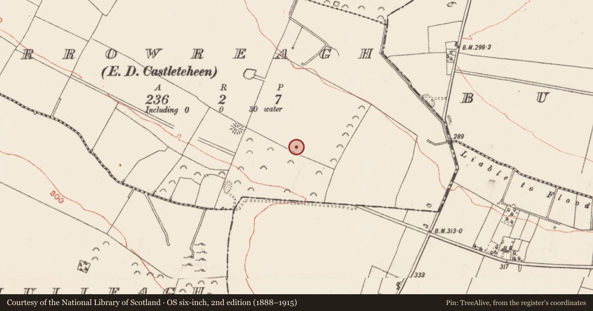 Ordnance Survey six-inch map, 2nd edition (1888–1915) covering the location of Barrow - ditch barrow, Carrowreagh, County Roscommon, with a pin at the register's coordinates