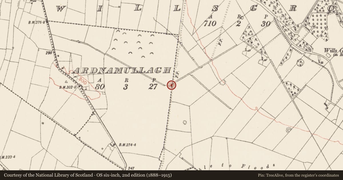 Ordnance Survey six-inch map, 2nd edition (1888–1915) covering the location of Road - road/trackway, Ardnamullagh, Willsgrove, County Roscommon, with a pin at the register's coordinates
