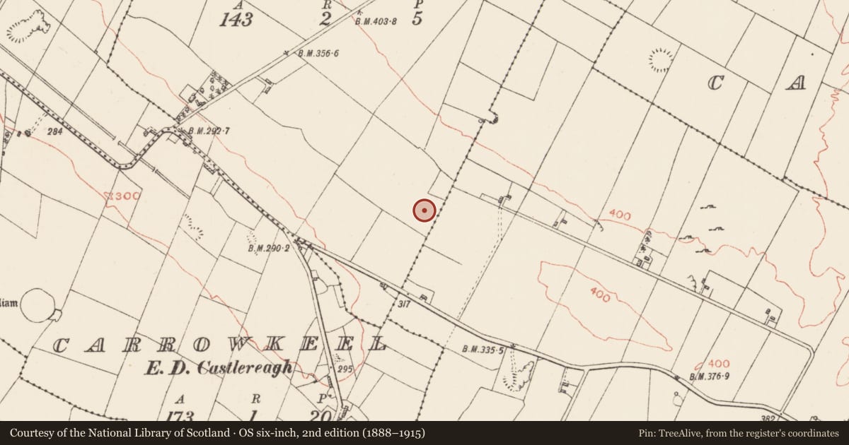 Ordnance Survey six-inch map, 2nd edition (1888–1915) covering the location of Enclosure, Carrowgarve, County Roscommon, with a pin at the register's coordinates