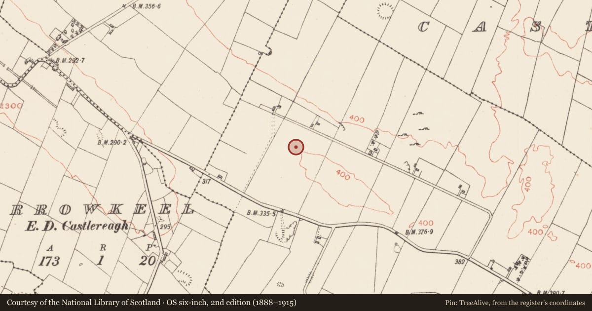 Ordnance Survey six-inch map, 2nd edition (1888–1915) covering the location of Ringfort - rath, Bohagh, County Roscommon, with a pin at the register's coordinates