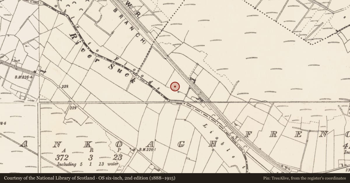 Ordnance Survey six-inch map, 2nd edition (1888–1915) covering the location of Earthwork, Frenchlawn, County Roscommon, with a pin at the register's coordinates