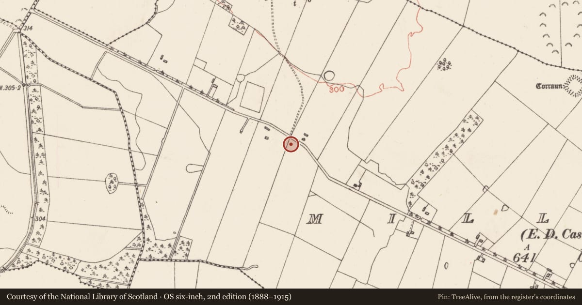 Ordnance Survey six-inch map, 2nd edition (1888–1915) covering the location of House - 18th/19th century, Milltown, County Roscommon, with a pin at the register's coordinates