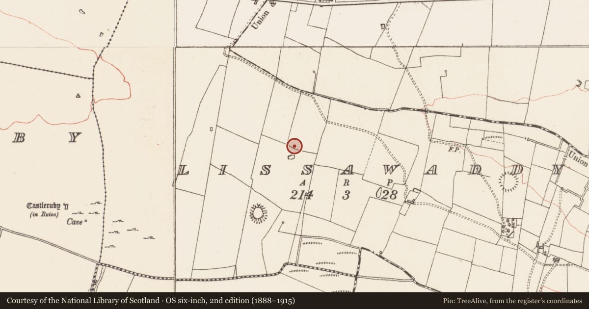 Ordnance Survey six-inch map, 2nd edition (1888–1915) covering the location of Quarry, Lissawaddy, County Roscommon, with a pin at the register's coordinates