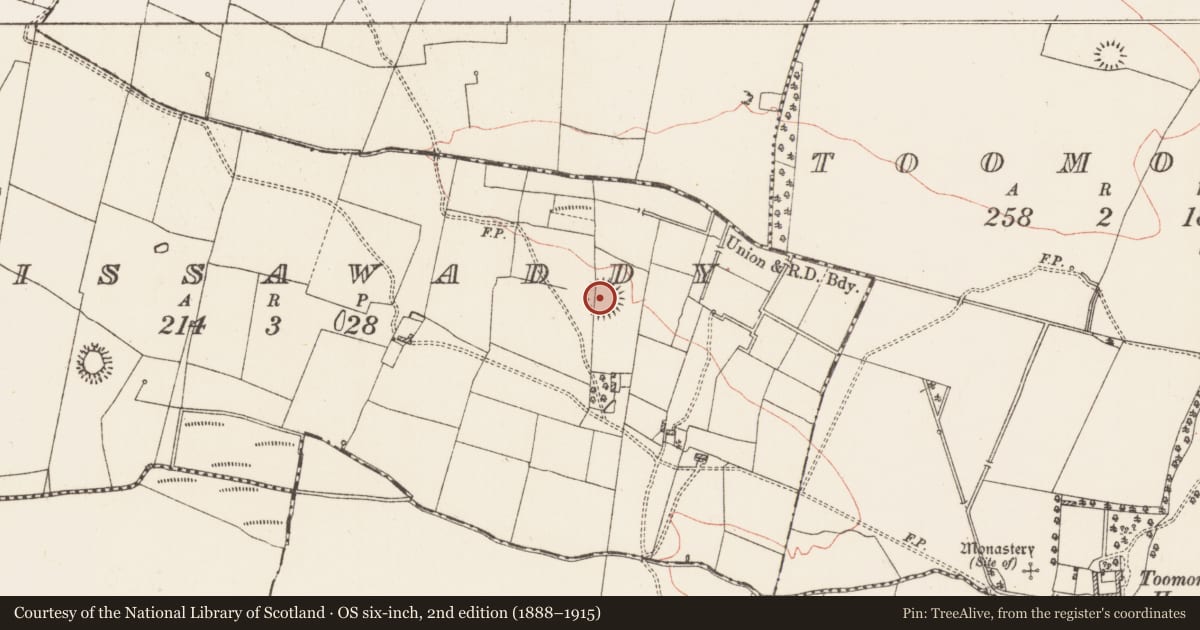 Ordnance Survey six-inch map, 2nd edition (1888–1915) covering the location of Ringfort - rath, Lissawaddy, County Roscommon, with a pin at the register's coordinates