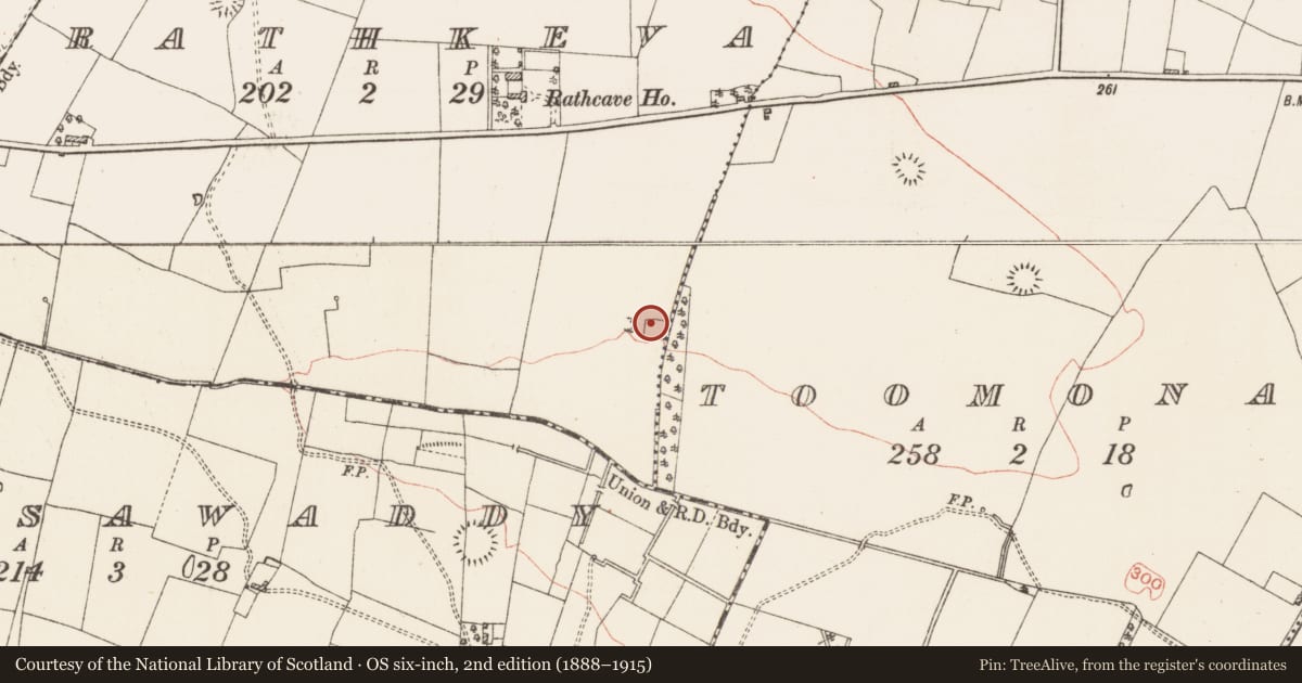 Ordnance Survey six-inch map, 2nd edition (1888–1915) covering the location of Moated site, Rathkeva, County Roscommon, with a pin at the register's coordinates