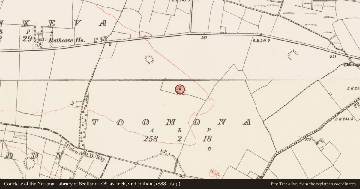 Ordnance Survey six-inch map, 2nd edition (1888–1915) covering the location of Ringfort - rath, Toomona, County Roscommon, with a pin at the register's coordinates