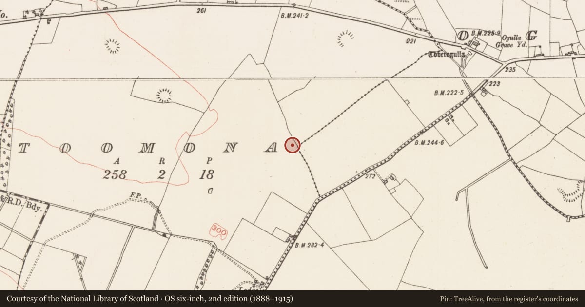 Ordnance Survey six-inch map, 2nd edition (1888–1915) covering the location of Road - road/trackway, County Roscommon, with a pin at the register's coordinates