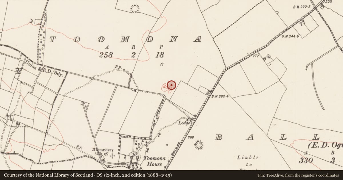 Ordnance Survey six-inch map, 2nd edition (1888–1915) covering the location of Road - road/trackway, Ogulla, Toomona, County Roscommon, with a pin at the register's coordinates