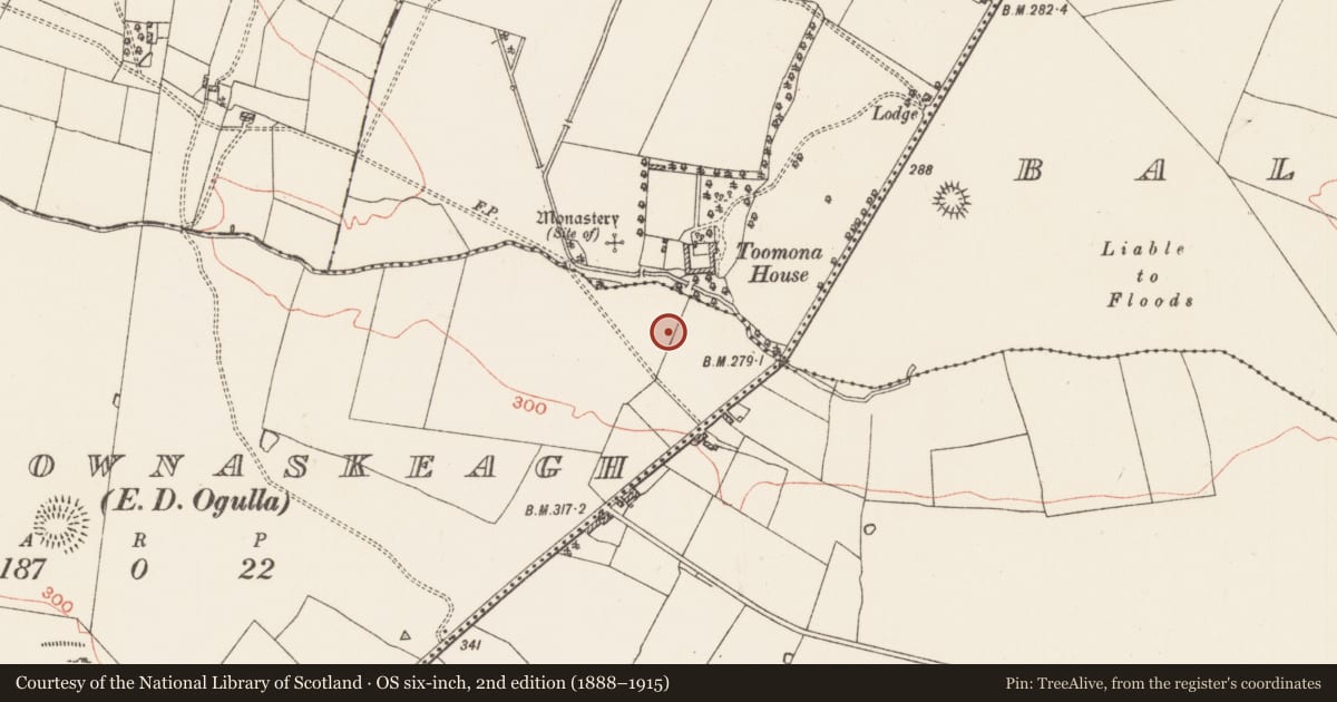 Ordnance Survey six-inch map, 2nd edition (1888–1915) covering the location of Field system, Carrownaskeagh, County Roscommon, with a pin at the register's coordinates