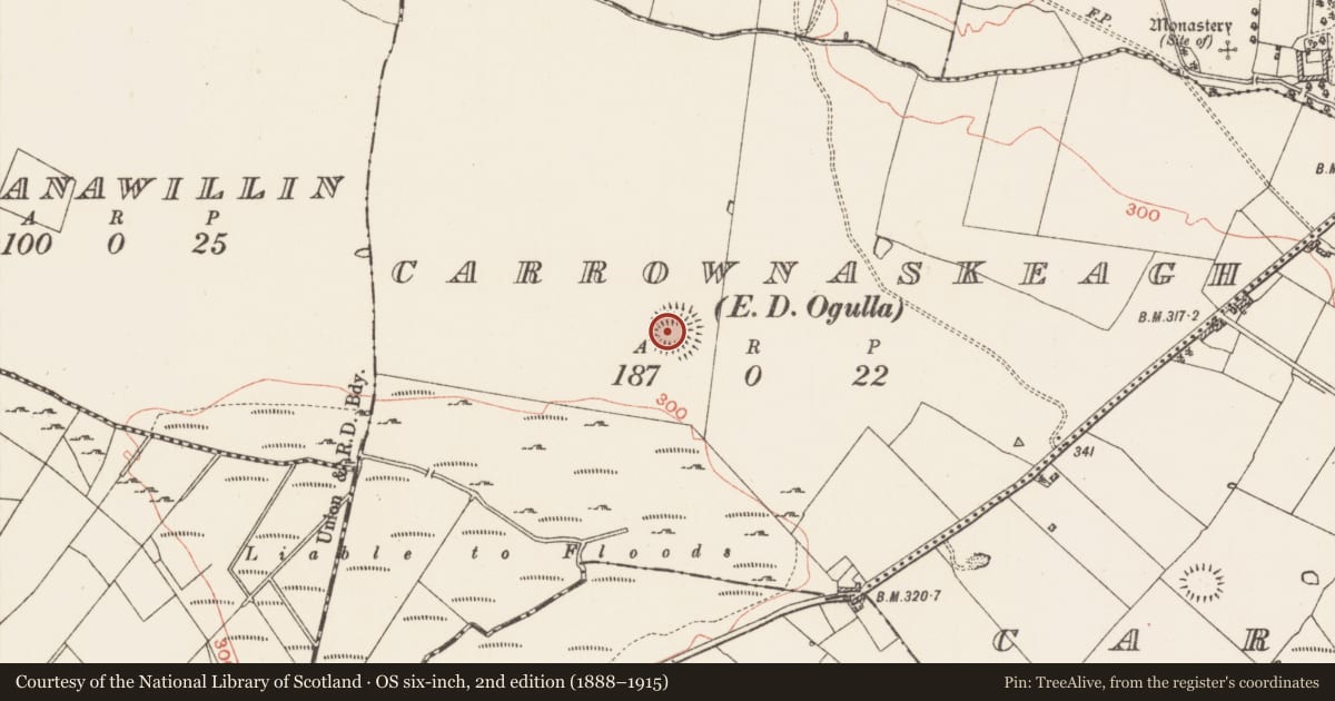 Ordnance Survey six-inch map, 2nd edition (1888–1915) covering the location of Ringfort - rath, Carrownaskeagh, County Roscommon, with a pin at the register's coordinates