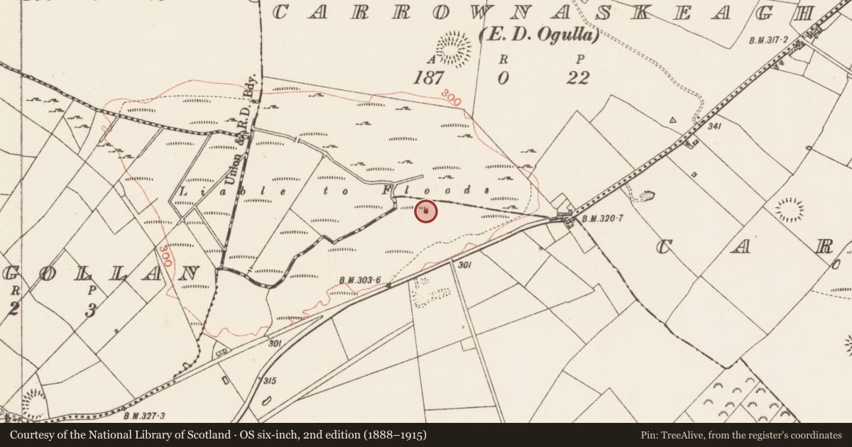 Ordnance Survey six-inch map, 2nd edition (1888–1915) covering the location of Crannog, Slevin, County Roscommon, with a pin at the register's coordinates