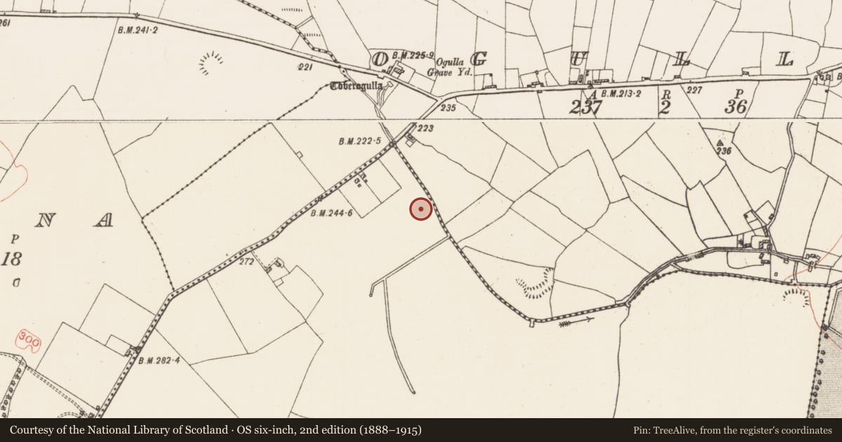 Ordnance Survey six-inch map, 2nd edition (1888–1915) covering the location of Enclosure, Ballybeg, County Roscommon, with a pin at the register's coordinates