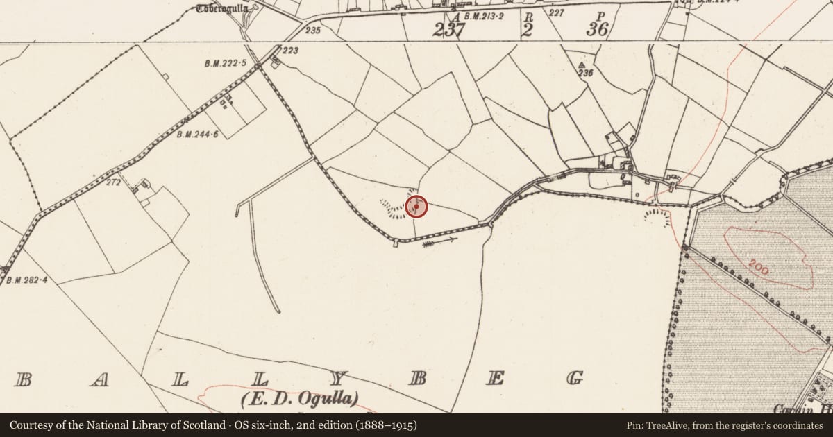 Ordnance Survey six-inch map, 2nd edition (1888–1915) covering the location of Megalithic structure, Ogulla, County Roscommon, with a pin at the register's coordinates