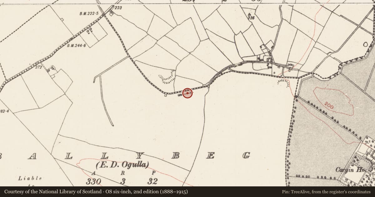 Ordnance Survey six-inch map, 2nd edition (1888–1915) covering the location of Mound, Ballybeg, County Roscommon, with a pin at the register's coordinates