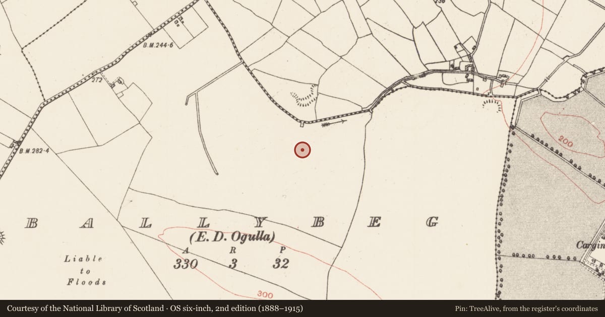 Ordnance Survey six-inch map, 2nd edition (1888–1915) covering the location of Field system, Ballybeg, County Roscommon, with a pin at the register's coordinates