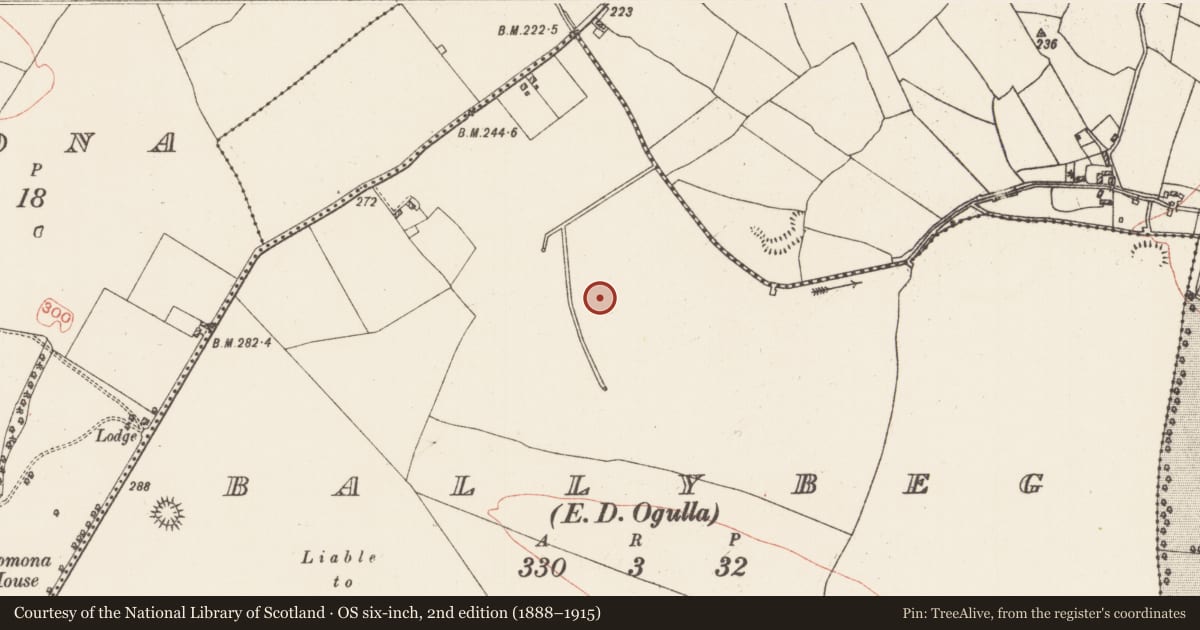 Ordnance Survey six-inch map, 2nd edition (1888–1915) covering the location of Souterrain, Ballybeg, County Roscommon, with a pin at the register's coordinates