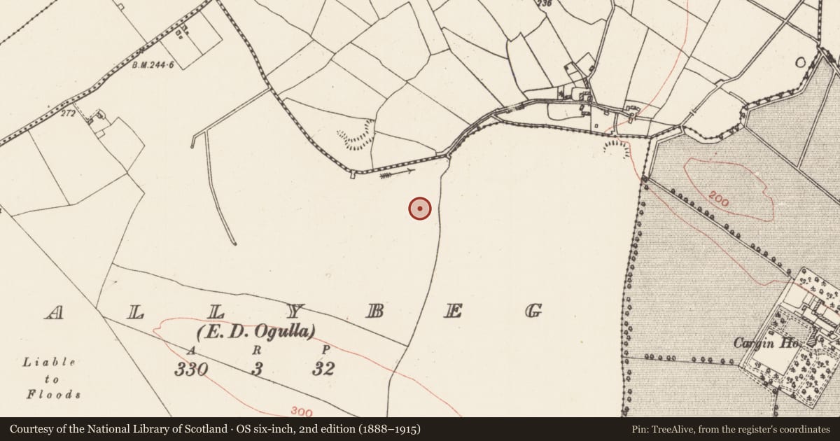 Ordnance Survey six-inch map, 2nd edition (1888–1915) covering the location of House - indeterminate date, Ballybeg, County Roscommon, with a pin at the register's coordinates