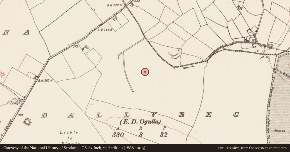 Ordnance Survey six-inch map, 2nd edition (1888–1915) covering the location of Enclosure, Ballybeg, County Roscommon, with a pin at the register's coordinates
