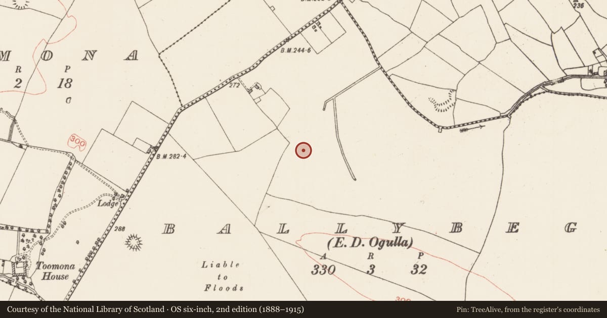 Ordnance Survey six-inch map, 2nd edition (1888–1915) covering the location of Hut site, Ballybeg, County Roscommon, with a pin at the register's coordinates