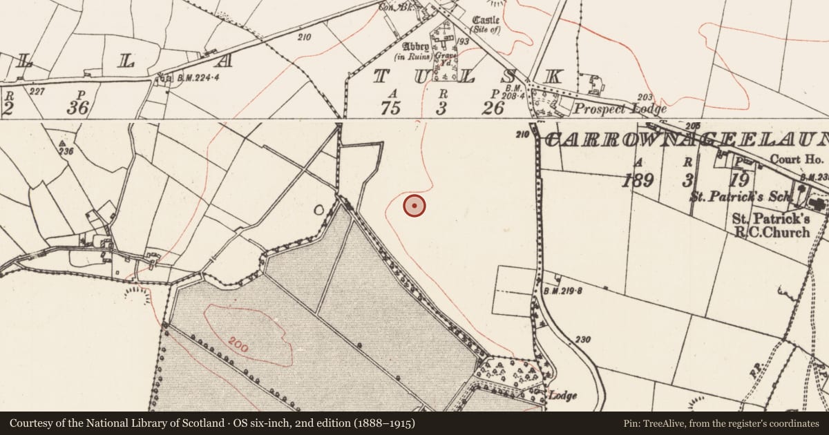 Ordnance Survey six-inch map, 2nd edition (1888–1915) covering the location of Pitfield, Tulsk, County Roscommon, with a pin at the register's coordinates