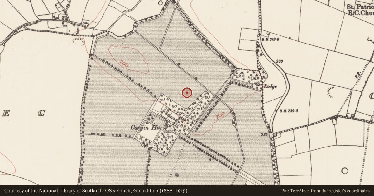 Ordnance Survey six-inch map, 2nd edition (1888–1915) covering the location of Field system, Cargin Demesne, County Roscommon, with a pin at the register's coordinates